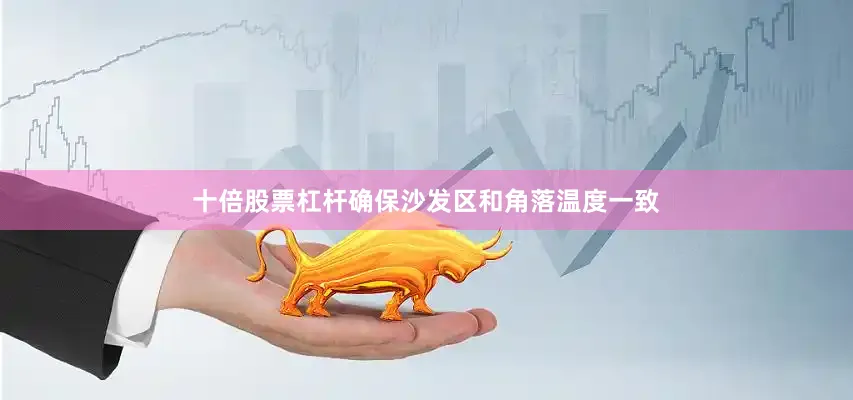 十倍股票杠杆确保沙发区和角落温度一致